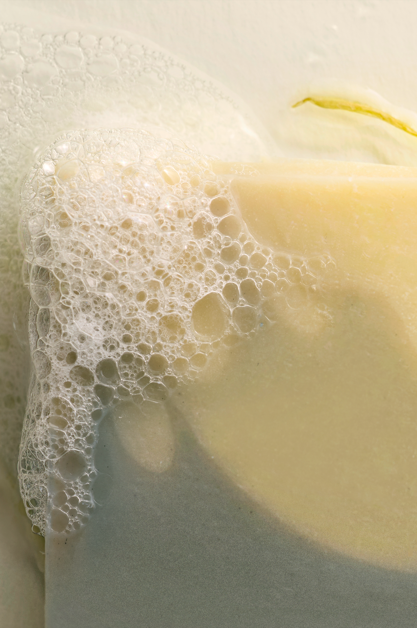 Indigo & Calendula Bar