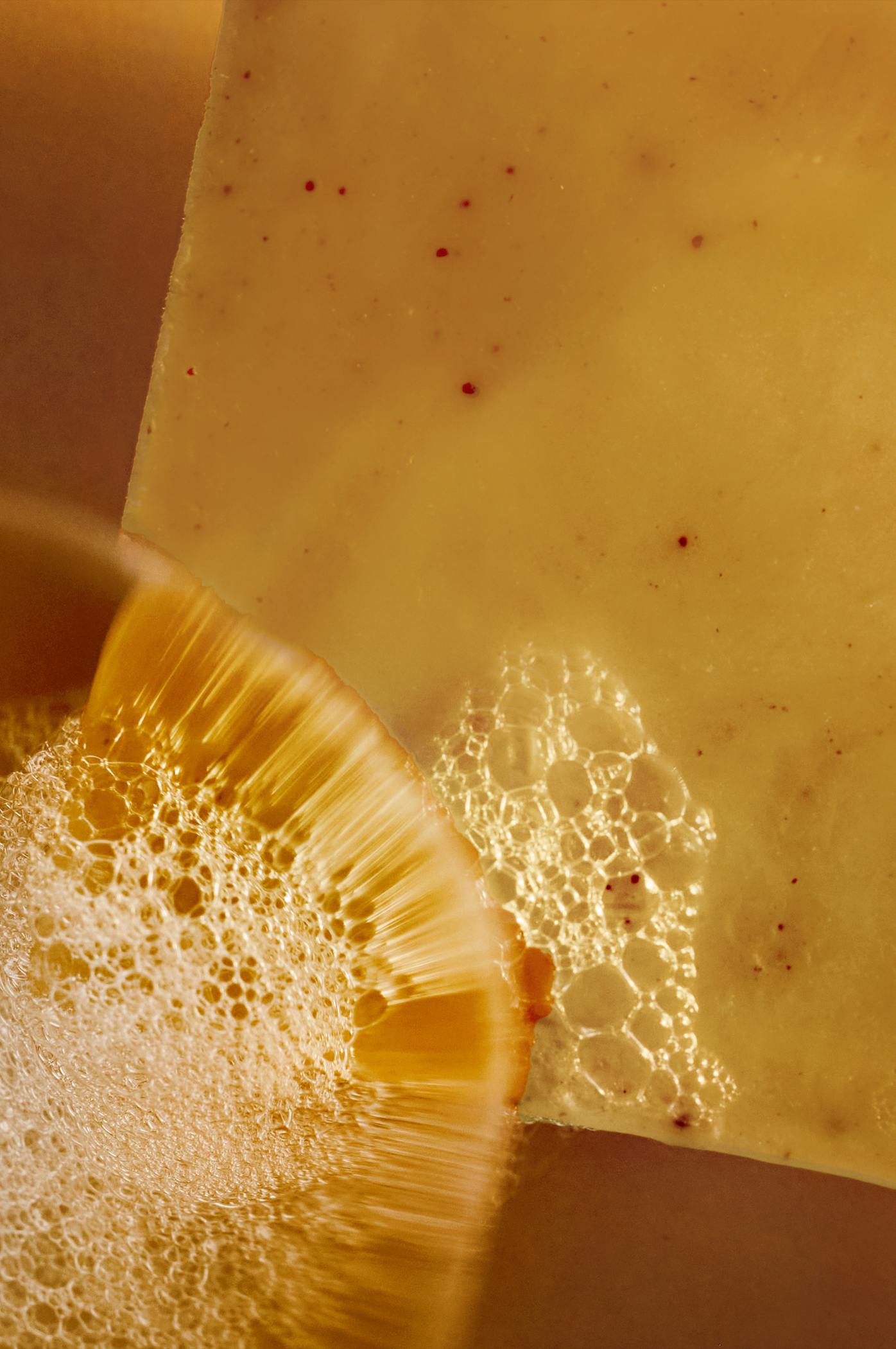 Turmeric & Frankincense | Donkey Milk & Argan Oil