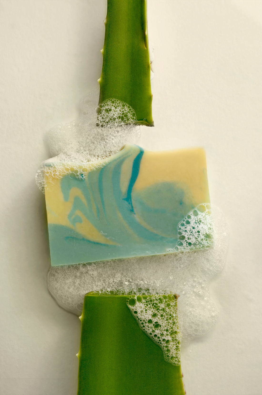 Aloe Vera &amp; French Clay Bar